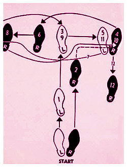 boot_tanzkurs-diagramm.jpg