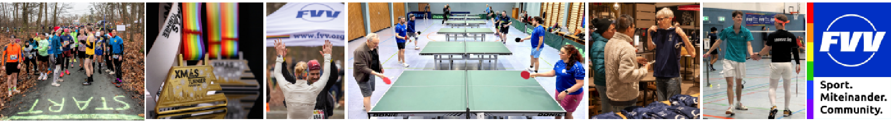 FVV – Frankfurter Volleyball-Verein e.V.